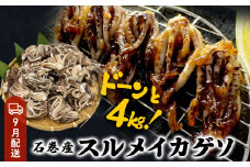 いか 〈 訳あり 〉9月配送 宮城県産 スルメイカ ゲソ 4kg 冷凍 国産 スルメイカ いか 下足 イカ イカゲソ カルパッチョ おつまみ 魚介類 焼イカ イカ料理 バーベキュー BBQ わけあり 不揃い 烏賊 炒め物 フライ ゲソ天 唐揚げ 石巻応援