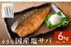 小さな 国産 塩サバ 6kg  ( 200g × 30パック ) 冷凍 国産 サバ 鯖 魚 青魚 塩さば 真サバ 切り身 ご家庭用 焼き魚 焼魚 おかず お弁当 惣菜 和風惣菜 焼くだけ 簡単調理 サバ フィレ 鯖フィレ サバフィレ フィーレ 切身 宮城 宮城県 石巻 石巻市