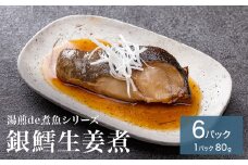 湯煎de煮魚シリーズ 詰合せ 銀鱈 生姜煮 6パック 化学調味料不使用 銀たら 煮魚 湯煎 調理 魚 魚介 魚介類