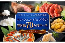 石巻 コンシェルジュプラン 70万円コース おまかせ 返礼品 厳選 人気 魚介 肉 野菜 フルーツ スイーツ 宮城県 石巻市