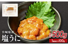 宮城県産 塩うに 500g（ 100g × 5袋 ） 冷凍 小分け ウニ うに 雲丹 塩ウニ 甘塩 濃厚 ムラサキウニ ウニ丼 ご飯のお供 海鮮 魚介 おつまみ 酒の肴 お取り寄せ グルメ 宮城県 石巻市