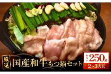 もつ鍋セット（2-3人前）国産 国産牛 牛もつ鍋 もつ鍋 鍋 牛モツ 和牛モツ ホルモン 鍋セット 2-3人前 ご当地グルメ お取り寄せ 宮城県 宮城 石巻市 石巻