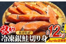 【訳あり】冷凍 銀鮭 切り身 2kg × 6回 定期便 鮭 切り身 銀鮭 冷凍 切身 さけ サケ 鮭切身 シャケ 鮭切り身 鮭 家庭用 鮭 訳アリ 鮭 おかず 鮭 お弁当 鮭 朝ごはん 鮭切り身 サーモン 鮭切り身 塩鮭 鮭切り身 焼き魚 和食 魚 鮭切り身 宮城東洋 海鮮 規格外 不揃い宮城県 石巻 石巻市