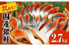 《訳あり》 産地直送！ どっさり 2.7kg！ 国産銀鮭 定塩切身 冷凍 鮭 切り身 国産 銀鮭 定塩銀鮭 切身 期間限定 簡易包装 不揃い 厚切り 肉厚 家庭用 サーモン 塩鮭 しゃけ シャケ 焼き魚 宮城県 石巻市 魚介類 魚 海産物 さけ おかず おつまみ ふるさと納税 18000円 石巻応援