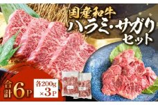 国産和牛 ハラミ・サガリ セット 6P
