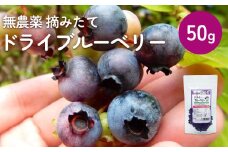 ドライブルーベリー 50g 無添加 摘みたて 砂糖不使用 ノンオイル ドライフルーツ