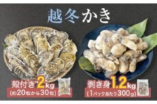 越冬かき剥き身 越冬殻付かき セット 加熱用 牡蠣 かき カキ 剥き身 むき身 殻付き 殻つき 貝 海鮮 魚介 魚介類 宮城県産 新鮮 急速冷凍 濃厚 宮城県 石巻市