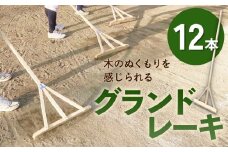 グランドレーキ 12本