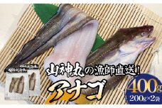 山神丸の漁師直送！アナゴ2パック