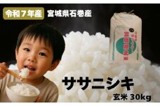 米 令和7年産 ササニシキ 玄米 30kg お米 ごはん ご飯 飯 30キロ 単一銘柄米 主食 家庭用 美味しい ブランド米 玄米食 あっさり 食感 甘味 健康食 食物繊維 ビタミン ヘルシー ささにしき おにぎり おかゆ 送料無料 宮城県 石巻 石巻市