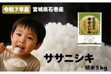ササニシキ 精米5kg 令和7年度産
