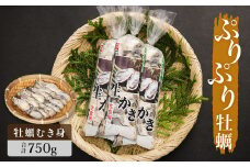 【先行予約】牡蠣 宮城県産 ぷりぷり 生牡蠣 むき身 750g 生食用 カキ 冷蔵 生カキ 小分け 