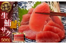 生まぐろ 約500g (柵×2) 4513678 まぐろ マグロ  鮪 冷蔵 刺身 つけ丼 漬丼 サク 鮮魚 塩竈 塩釜港 寿司のまち 塩釜 寿司 刺し身 漬け丼 海鮮 宮城県 塩竈市 三陸 人気 ランキング ギフト 数量限定 配送日指定 時間指定