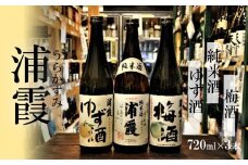 塩竈 浦霞BASE純米セット　 4525763