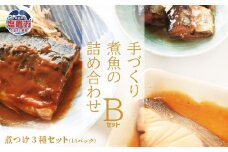 ＜手づくり＞ことこと煮魚セットB 4553053