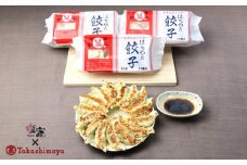 【高島屋選定品】   はちやの餃子セット　 4731558  《 髙島屋 の包装紙でお届け 》