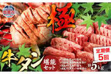 定期便 本場牛タン堪能贅沢セット・極（全5回）　 4975520