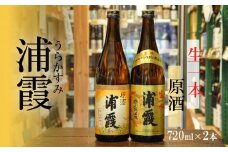 日本酒 飲み比べセット 浦霞 「 生一本 」「 原酒 」2本(720ml×2) セット 地酒 日本酒セット 飲み比べセット お酒 酒 sake 宮城県 塩竈市 相原酒店 4975522
