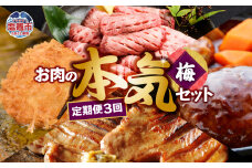 定期便 お肉屋さんのお肉の本気詰合せセット・梅＜全3回＞　 5011849