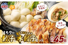 はちやの餃子（15個入）とまんまるもちもち水餃子（30個入）のセット　 5037886
