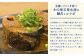 竈さば味噌煮　12缶セット　【04203-0480】