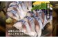 宮城 さばセット（干物・しめ鯖）　【04203-0700】