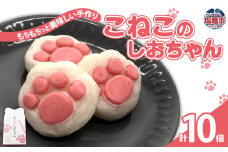 こねこのしおちゃん　10個入　 04203-0774