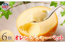 オレンジシャーベット6個入り yy00001