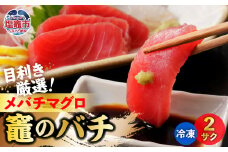 メバチマグロ 竈のバチ 柵 2本 約400g 中トロ 刺身 刺し身 マグロ 刺身 お刺身 さく 柵 2本 おつまみ 塩竈市 宮城県 YAMATO ya00001
