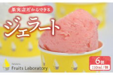 オリジナルジェラート ６カップ 【Gelateria Fruits laboratory 】 gf00001