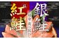 銀鮭・紅鮭　切身　食べ比べセット