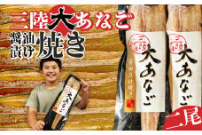 プレミアム  国産 大 あなご 醤油漬け 焼き (2尾) 冷凍 宮城県産 穴子 調理済み あたためるだけ レンジでチン レンチン 時短 アナゴ 宮城県 塩竈市 三晃食品 sh00020