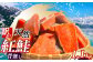 鮭 切り落とし 天然 紅鮭 骨なし 訳あり 甘口 1.1kg