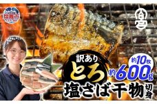 訳あり とろ さば切身 干し 約 600g (10切前後 )  冷凍 ノルウェー産 【 訳アリ 規格外 不揃い とろさば 傷もの 熟成 ひもの 魚 鯖 さば サバ 魚介 海産物  塩竈市 宮城県 間宮商店 】| mm00014
