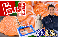 トロける サーモン 生食用 約1.3kg 小分け (全4パック／冷蔵) 半身 骨なし 皮なし アトランティック サーモン (ノルウェー産)【 鮭 サーモン 骨取り さけ サケ シャケ 魚 アトランティックサーモン お寿司 おつまみ パーティー 年末 年始 正月 お正月 お弁当 おかず 宮城県 塩竈市 宮内商店 】
