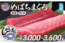 【日時指定可】 スピード発送 『 三陸塩竈ひがしもの 』 まぐろ 冷蔵 ( 赤身 中トロ )  ６セット 合計 3000g ～ 3600g メバチマグロ 国産 ブランド 本まぐろ めばちまぐろ 柵 サク 鮮魚 本マグロ ひがしもの 塩釜港 寿司のまち 塩釜 寿司 刺し身 漬け丼 海鮮 宮城県 塩竈市 三陸 人気 ランキング ギフト 数量限定 【 期間限定 】 配送日指定 時間指定