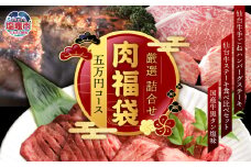 福袋 肉 福袋 仙台牛ハンバーグ 国産 牛タン 入り 肉福袋 (5万円コース) さとう精肉店 | sm00009-5 ハンバーグ 仙台牛 国産牛 牛タン 黒タン塩味 ステーキ 焼肉 牛肉