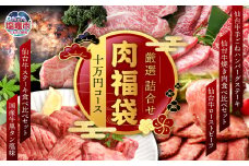 福袋 肉 福袋 仙台牛ハンバーグ 国産 牛タン 入り 肉福袋(10万円コース)  さとう精肉店| sm00009-10  ハンバーグ 仙台牛 国産牛 牛タン 黒タン塩味 ステーキ 焼肉 牛肉 ローストビーフ