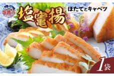 塩竃揚 いかたこ生姜 1袋 ｜ 揚げかまぼこ 揚げ蒲鉾 カネコ橋沼商店 すり身 蒲鉾 高たんぱく 低脂肪 ヘルシーフード 宮城県 塩竈市 ｜ kh00008-kh