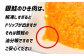 訳あり 銀鮭 サーモンミンチ