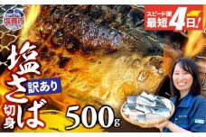 【訳あり】安心無添加　塩さば切身 深層海塩仕込み 500g  | ym00013-500 無添加 サバ さば とろさば トロサバ 塩サバ 切り身 鯖 海塩 塩竈市 塩釜 ヤママサ