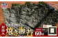 塩竈浦戸産初摘み焼き海苔