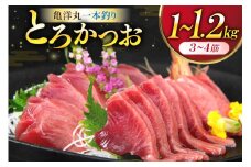 【TVで紹介！】亀洋丸一本釣りとろかつお 1kg～1.2kg [阿部長商店 宮城県 気仙沼市 20565040] 魚介類 海鮮 魚 カツオ かつお 鰹 トロ トロかつお 刺し身 刺身 お刺身 冷凍