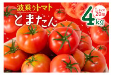 【期間限定発送】波乗り トマト とまたん 4kg (20個入) [サンフレッシュ小泉農園 宮城県 気仙沼市 20564139] 野菜 とまと 国産 夏野菜 やさい さっぱり サラダ サッパリ 新鮮 甘い カプレーゼ リコピン レビューキャンペーン
