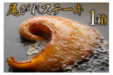 【TVで紹介】ふかひれステーキ1箱 [石渡商店 宮城県 気仙沼市 20563354] フカヒレ 鱶鰭 ふかひれ ステーキ 尾びれ ヨシキリザメ ヨシキリザメ 吉切鮫  レビューキャンペーン