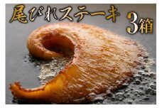 【TVで紹介】ふかひれステーキ3箱 [石渡商店 宮城県 気仙沼市 20563459] フカヒレ 鱶鰭 ふかひれ ステーキ 尾びれ ヨシキリザメ ヨシキリザメ 吉切鮫  レビューキャンペーン