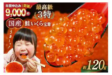【TVで紹介！】最高級3特 国産 味付 いくら 宝壽 醤油漬 120g×1 [かわむら家 宮城県 気仙沼市 20565080] イクラ 海鮮 魚介類 醤油漬け 鮭いくら レビューキャンペーン