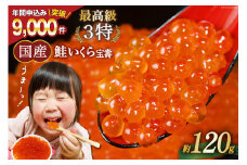 【TVで紹介！】最高級3特 国産 味付 いくら 宝壽 醤油漬 120g×1 [かわむら家 宮城県 気仙沼市 20565080] イクラ 海鮮 魚介類 醤油漬け 鮭いくら レビューキャンペーン
