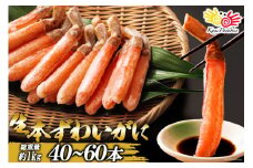 生本ずわいがに 棒肉 40～60本入 総重量 約1kg [老舗カニ卸業者から直送 宮城県 気仙沼市 20564361] カニ ずわいがに ズワイガニ ずわい蟹 ズワイ蟹 蟹 カニ カニ脚 蟹脚 カニ棒肉 カニ 生 蟹 ポーション カニしゃぶ