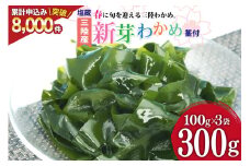 【漁師さんからのおすそわけ】新芽わかめ 300g(約100g×3袋) [かわむら家 宮城県 気仙沼市 20564375] わかめ ワカメ 若芽 海藻 国産 三陸 味噌汁 小分け 三陸わかめ 感想